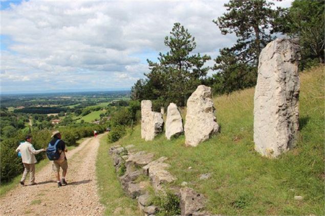 Tour de la Forêt de la Motte  - Site du Grand Brûle - GBA
