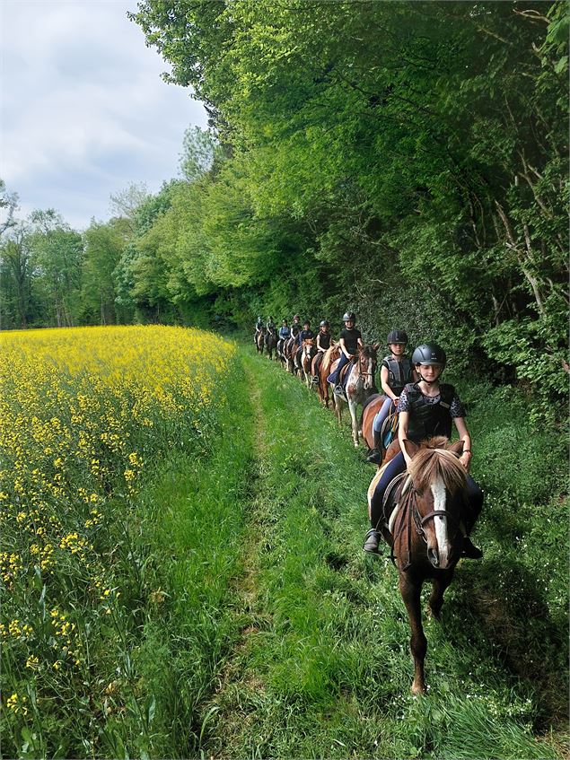 Centre équestre Saint-Just - Laure Chaurand