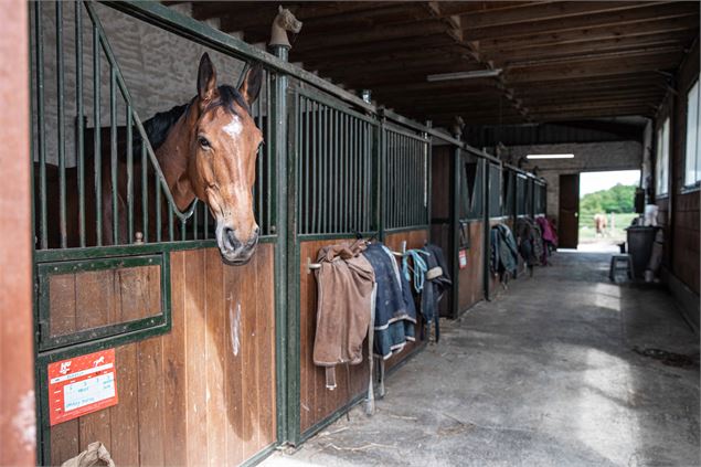 Ecuries du Palordet - Ecuries du Palordet