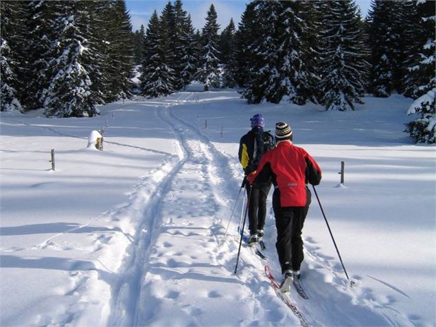 Col des Moises-Col du Feu - OT Alpes du Léman