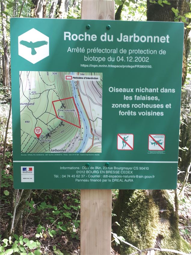 Rocher du Jarbonnet - Prairie de la rivière d'Ain_Cize - Pierre Jayet