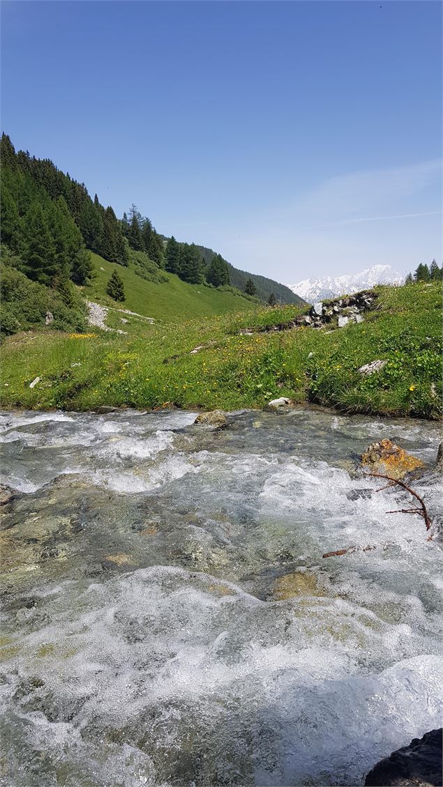 Magnifique vue sur a Mont Banc - OTMLC