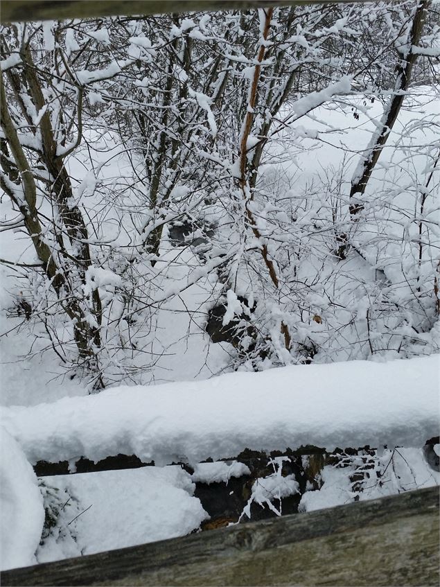 Le petit pont - OTMLP