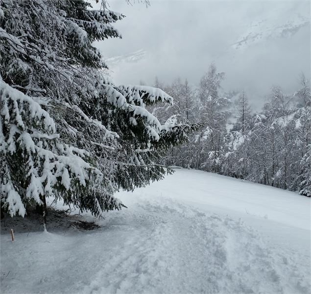 Descente à l'entrée du sentier de la Pierra - OTMLP