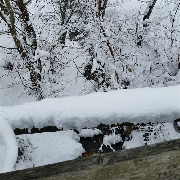 Le petit pont - OTMLP