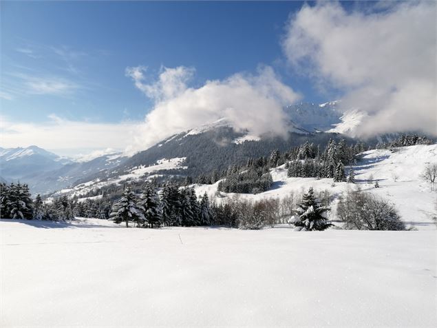 Sublime vue enneigée sur le plateau des Fours - La Plagne Vallée