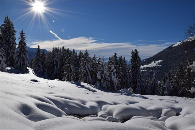 Paysage enneigé sous un beau soleil à La Côte d'Aime - La Plagne Vallée