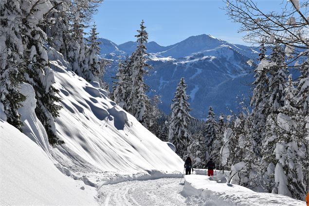 Vue sur la piste damée de l'espace hiver de la Côte d'Aime et sur des randonneurs - La Plagne Vallée