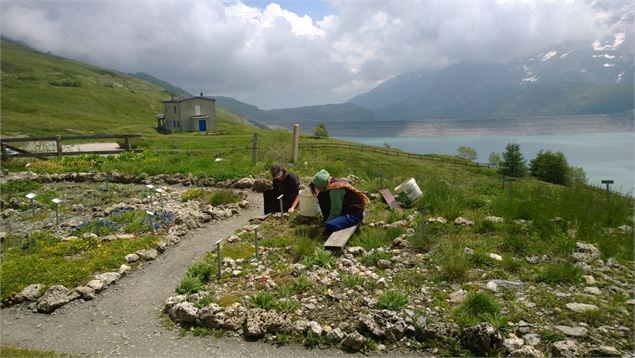 Les jardiniers entretiennent le jardin - OTHMV