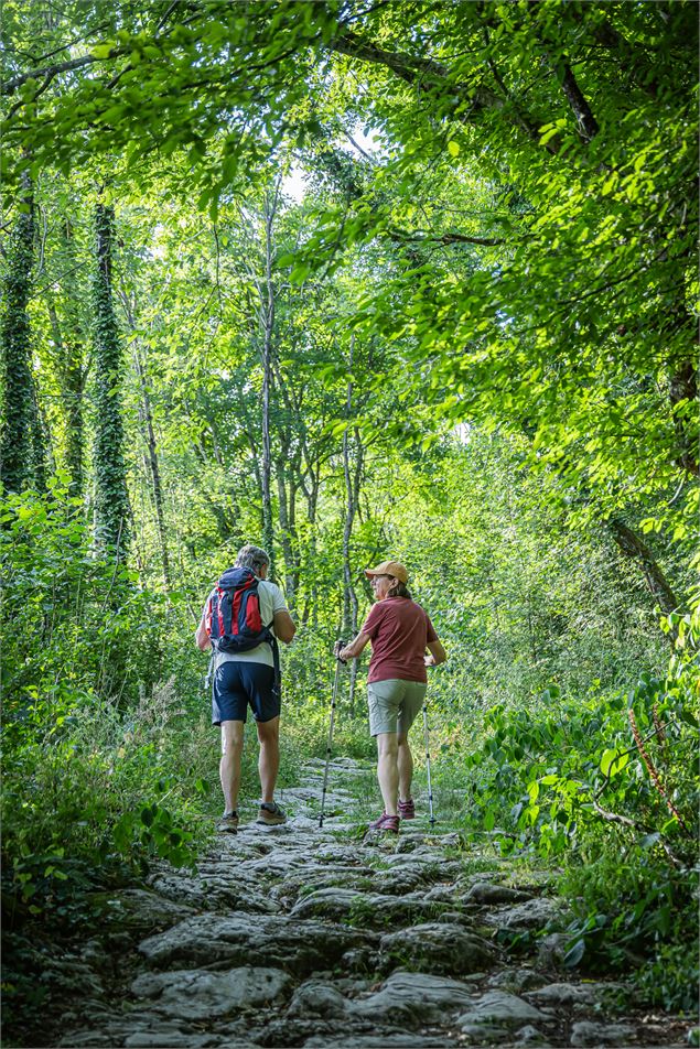 Les voies de l'Épine - Voie romaine et voie sarde à Aiguebelette-le-Lac - Savoie Mont Blanc - Martel