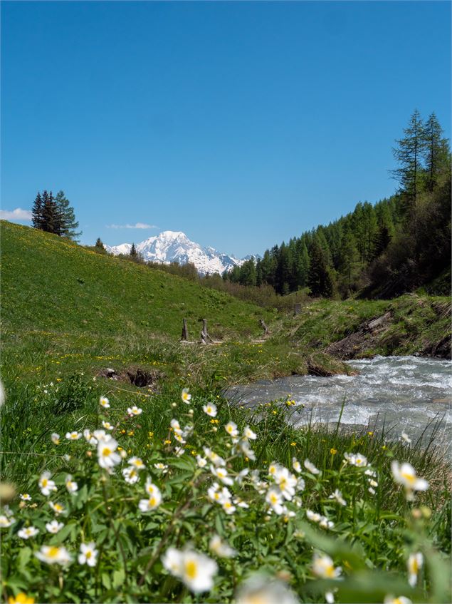 Le ruisseau de Pramain - OTMLC