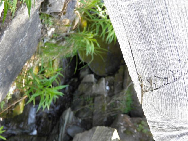 Le chemin de la Pierra - OTMLP