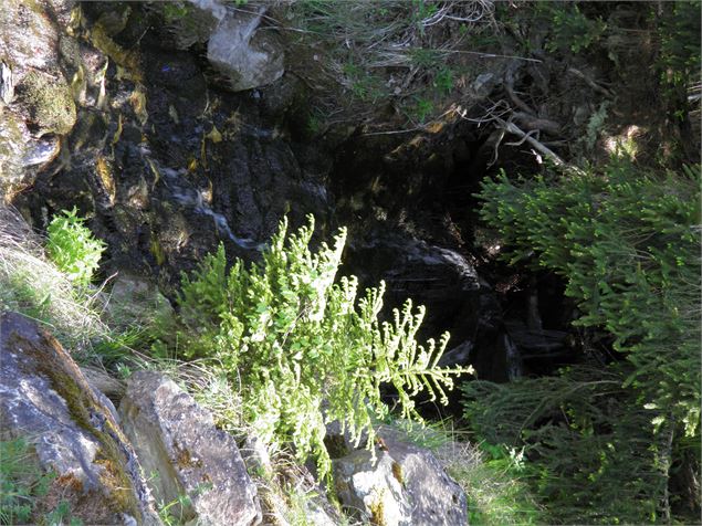 Le Chemin de la Pierra - OTMLP