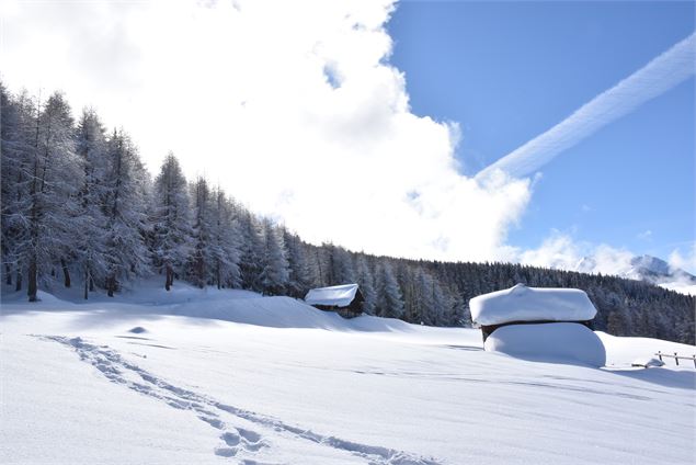 Les Frasses - Amandine Elie