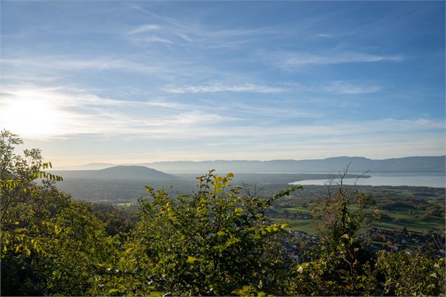 Panorama - Destination Léman - C.Vuillequez