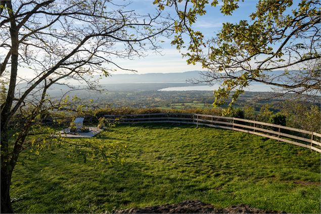 Vue - Destination Léman - C.Vuillequez