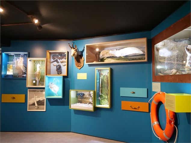 aqualisaixlesbainsrivieradesalpes - A.Coissard