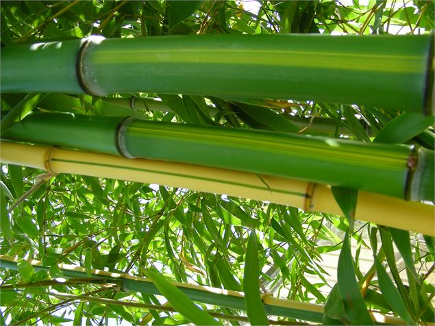 Jardins de Lornay - Jardins de Lornay