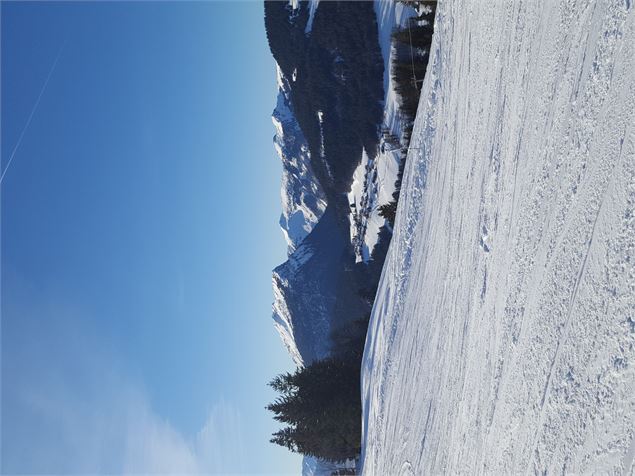 Raquettes 34 Plateau du Rosay - Alpcat.Medias-Le-Grand-Bornand