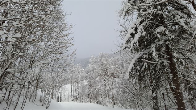 Sentiers raquettes 19 - La vallée du Bouchet - csardin - Le Grand-Bornand