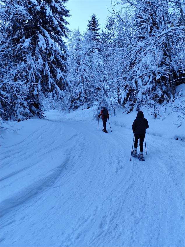 Sentier de la route forestière enneigé avec promeneurs - © Cordon Tourisme