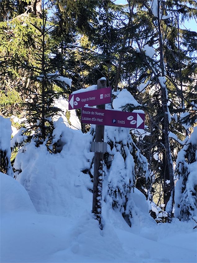 Panneau raquette à l'intersection de la redescente de la Boucle de L'Avenaz - © Cordon Tourisme