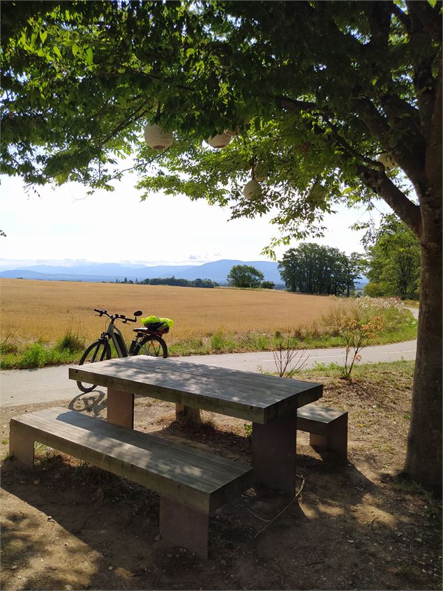 Piste cyclable de Ferney-Voltaire à Ornex, qui se poursuivra à l'avenir jusqu'à Gex - S. Thomas/Offi