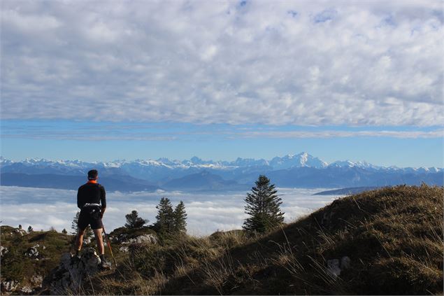 La vue sur le Mont Blanc - ©AMbarbe