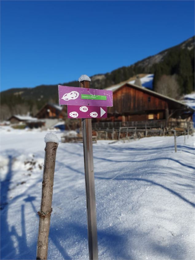 Raquettes Abondance - Patrick Brault Office de Tourisme Abondance