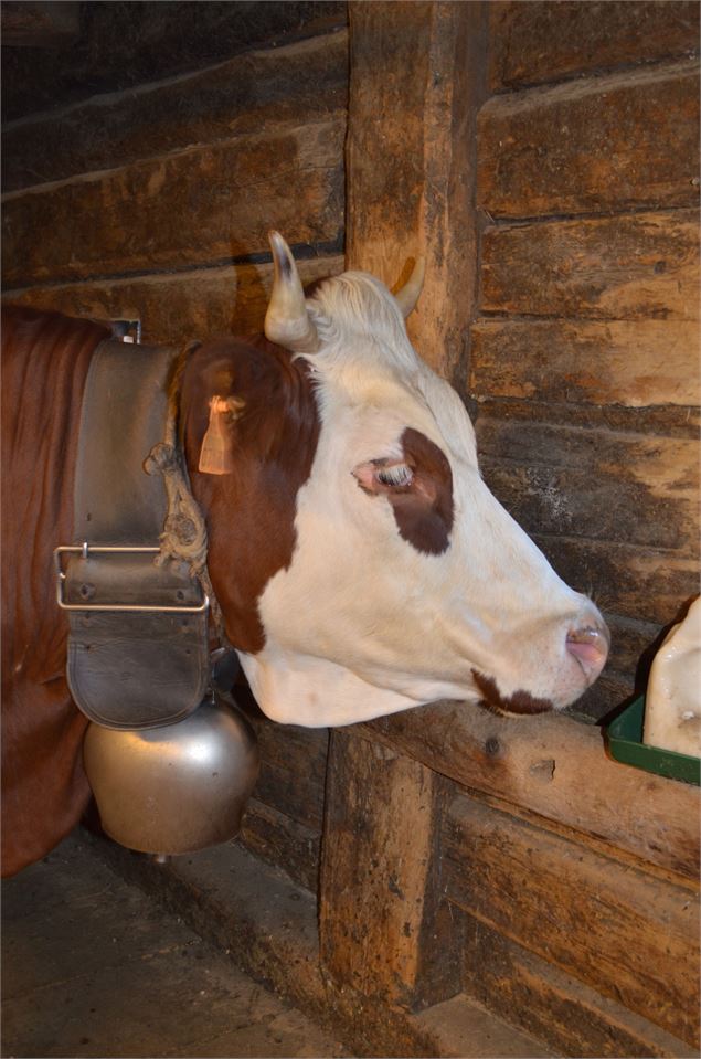 Ferme de l'Avenaz - P. Gaiddon