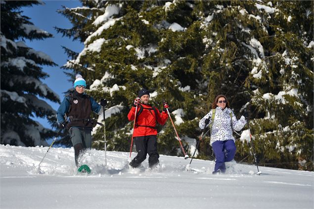 Randonneurs en raquettes à la sortie de la forêt - OT Flumet/St Nicolas