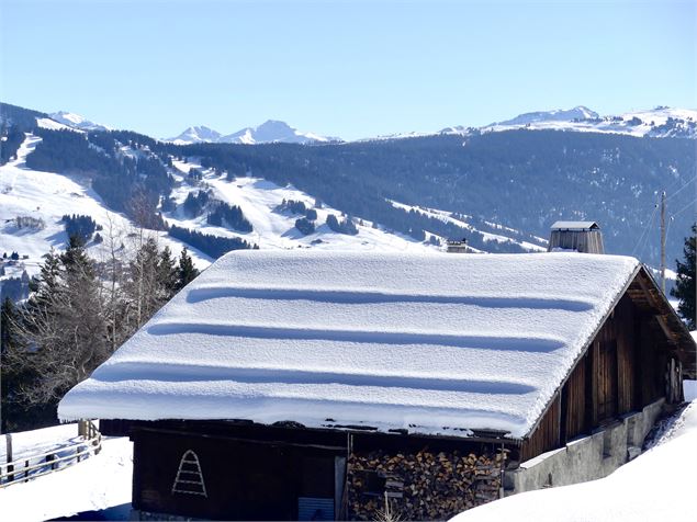 Chalet d'alpage - OT Flumet / ST Nicolas la Chapelle