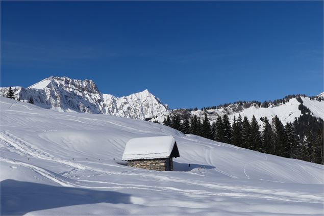Chalet enneigé - OT Flumet / St Nicolas la Chapelle