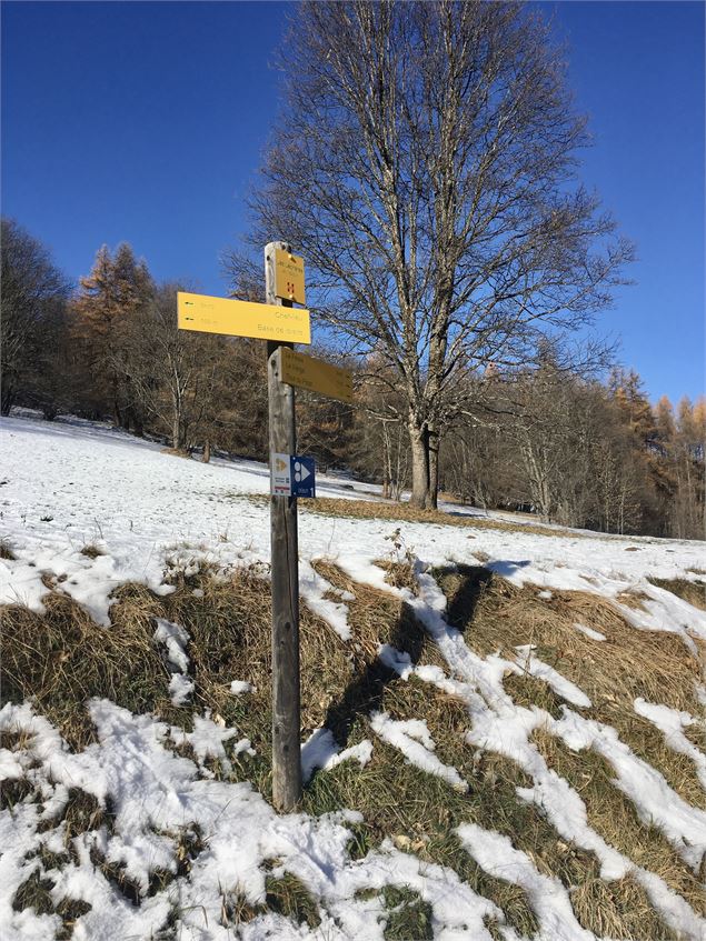 Le Tour du Pinet - Maëlle.GORRE