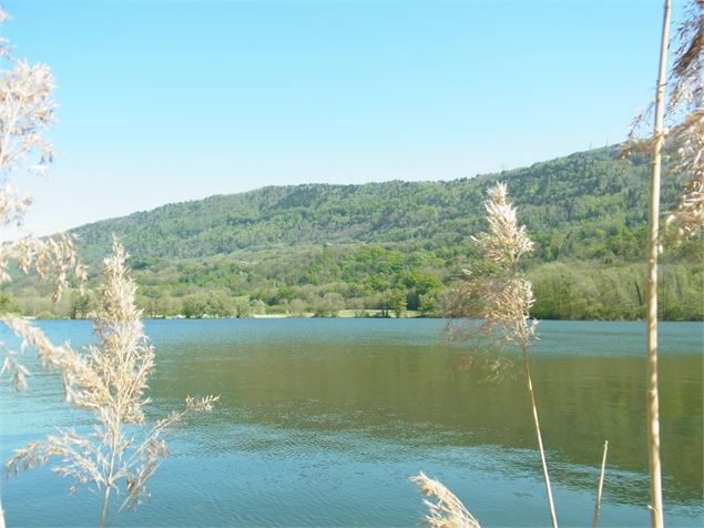 Lac Sainte-Hélène - jerome.hugot@gmail.com