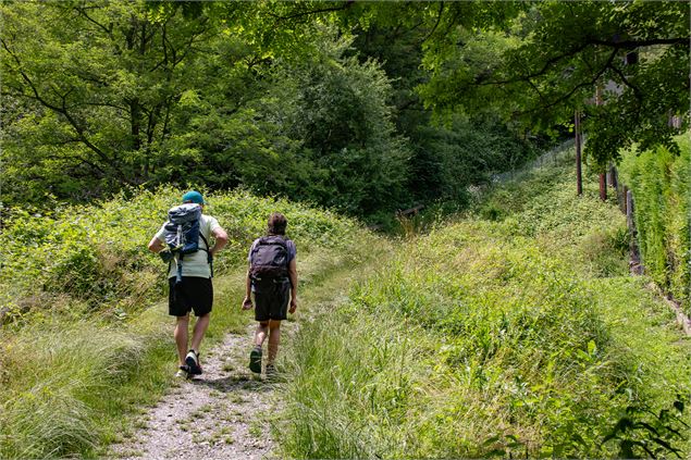 Randonneurs sur un sentier. - OTICoeurdemaurienne