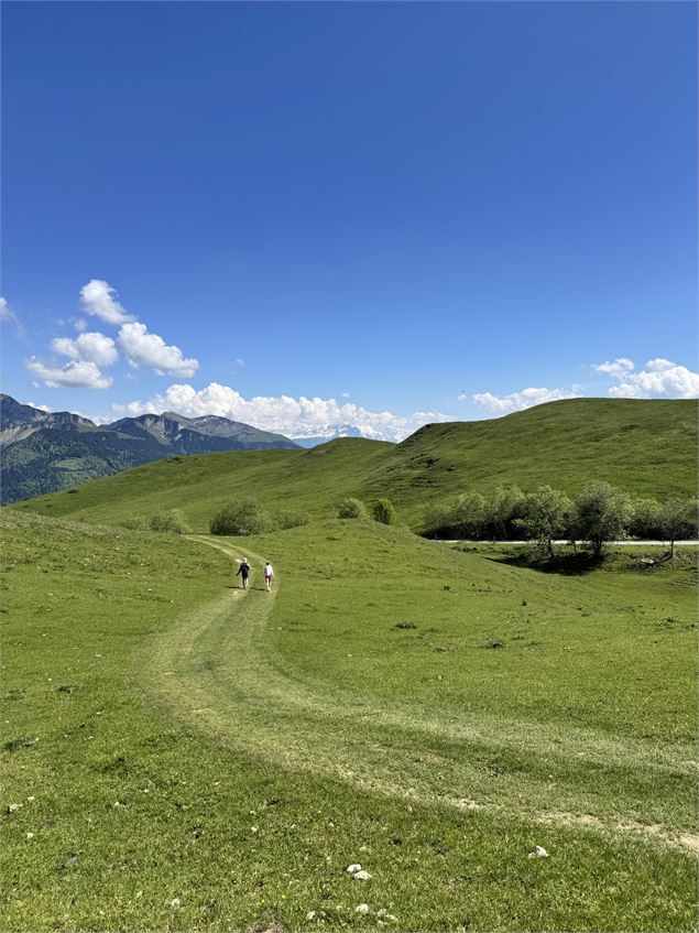 alpage de miribel - Arnaud Lesueur