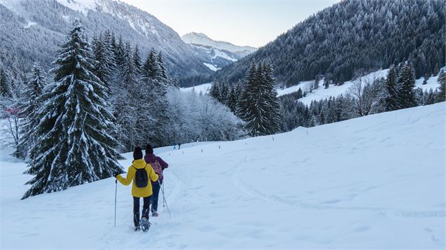 Sentier raquette lac des mines d'or - Juliette Revol