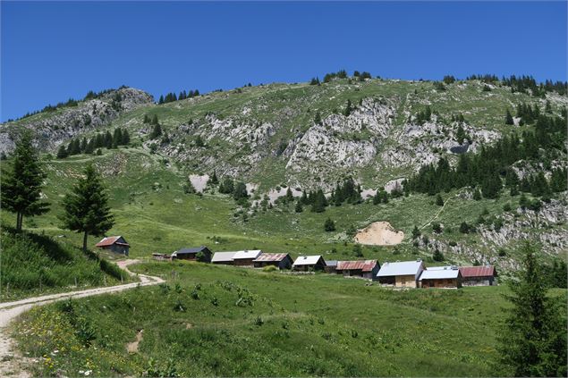 Chalets d'alpage - Seytrouset - Victor Demilly / Vallée d'Aulps Tourisme