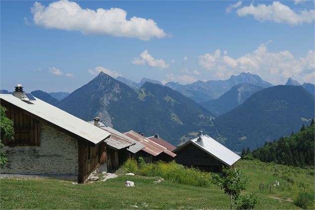 Alpage du Chablais - Seytrouset - Victor Demilly / Vallée d'Aulps Tourisme