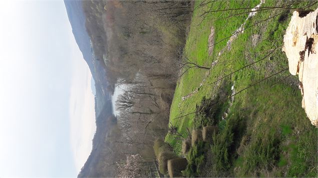 Vue sur le Rhône sauvage - Laurent Madelon