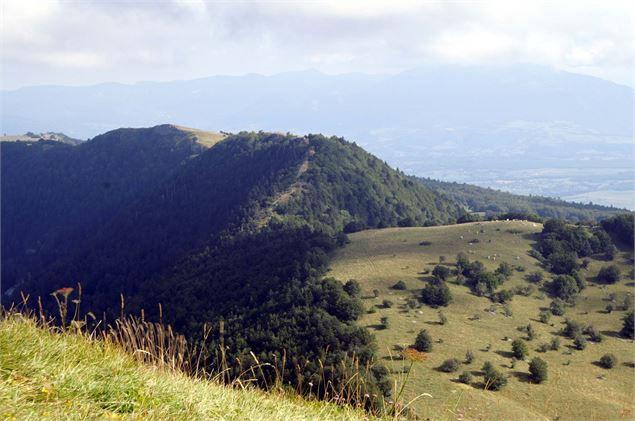 Grand Colombier - HRT