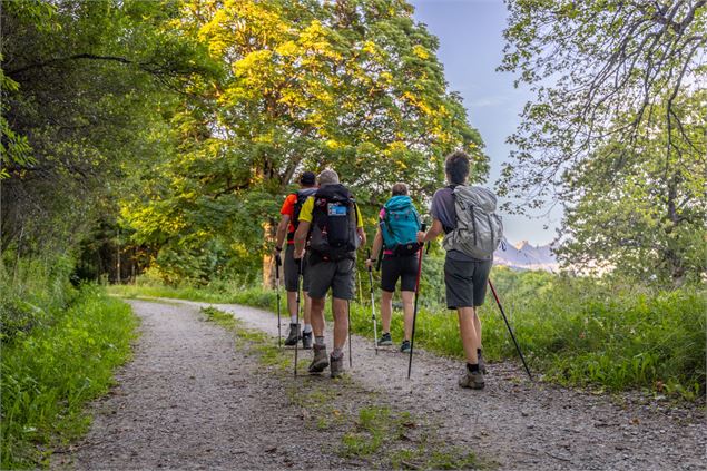 Randonneurs en famille dans la forêt - OTICœurdemaurienne