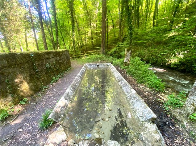 Cascade d'Eilloux_Corbonod - F.scotton