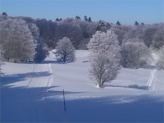 Itinéraire entre les arbres enneigés - Erwan LAPORTE