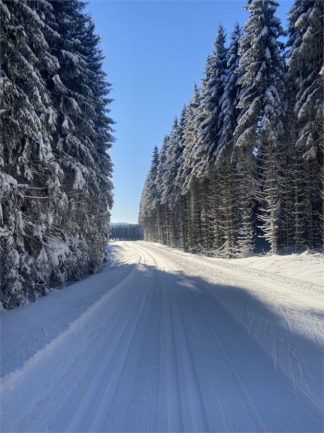 Ski nordique sur le Site de Lachat_Haut Valromey - M.Ballet