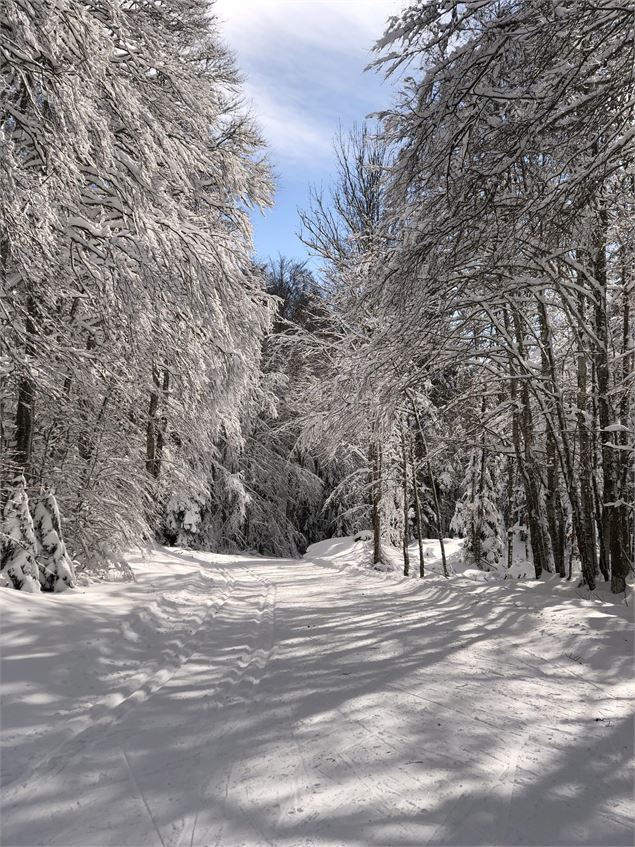 Ski nordique sur le Site de Lachat_Haut Valromey - M.Ballet