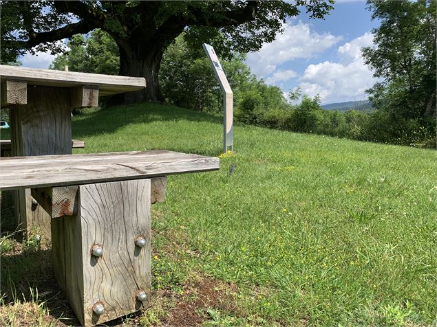 Tilleul de Sully - Maxime Michel