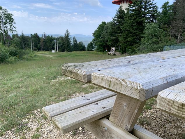 Au sommet de Planachat - Maxime Michel