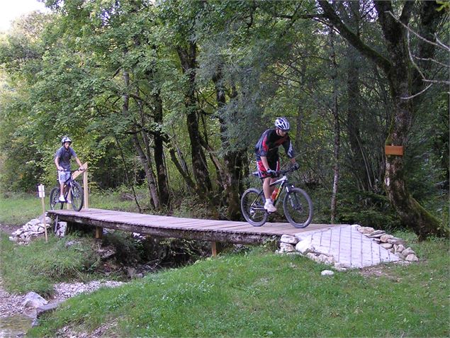 Passerelle en bois - Vincent Allard - Haut Bugey agglomération